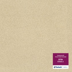venus 29